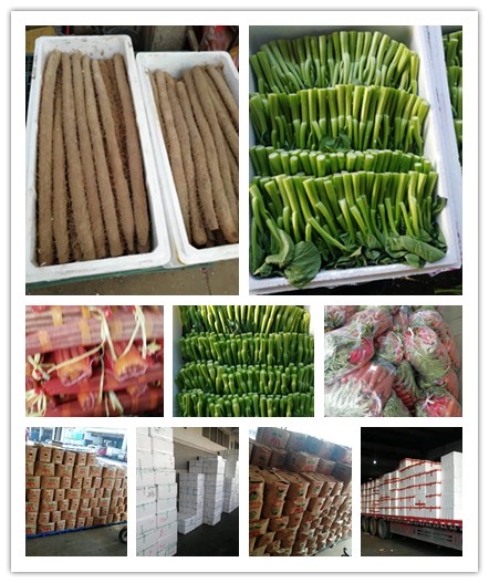 Z6���������ǲ�(�й���)���޹�˾����