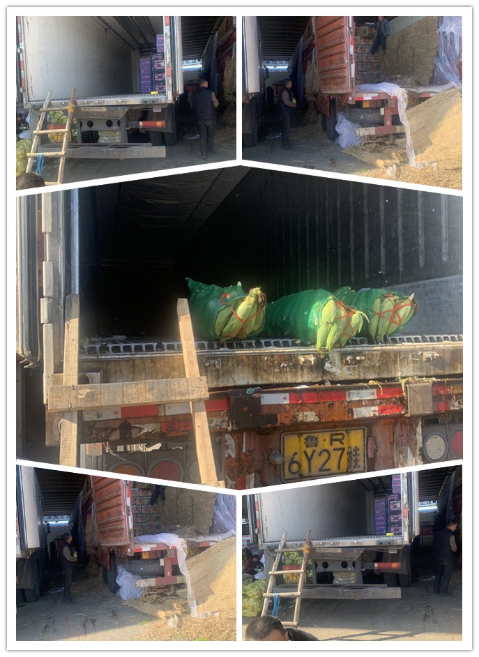 Z6���������ǲ�(�й���)���޹�˾����