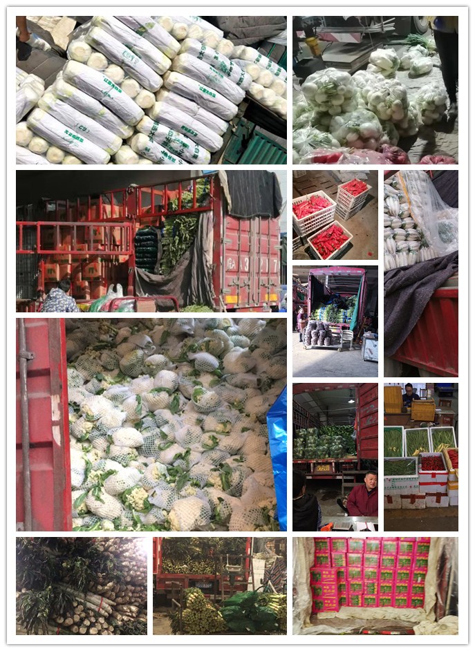 Z6���������ǲ�(�й���)���޹�˾����