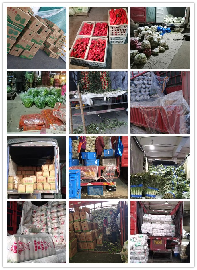 Z6���������ǲ�(�й���)���޹�˾����