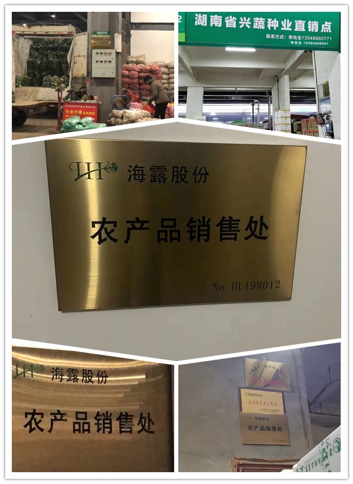 Z6���������ǲ�(�й���)���޹�˾����