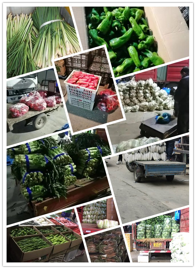 Z6���������ǲ�(�й���)���޹�˾����