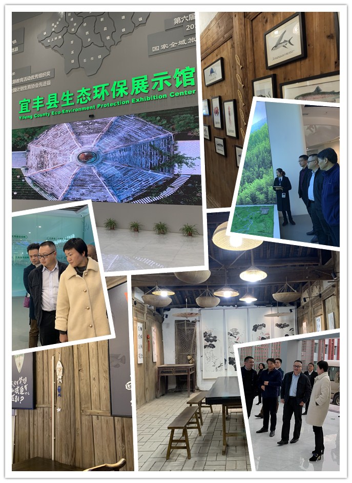 Z6���������ǲ�(�й���)���޹�˾����