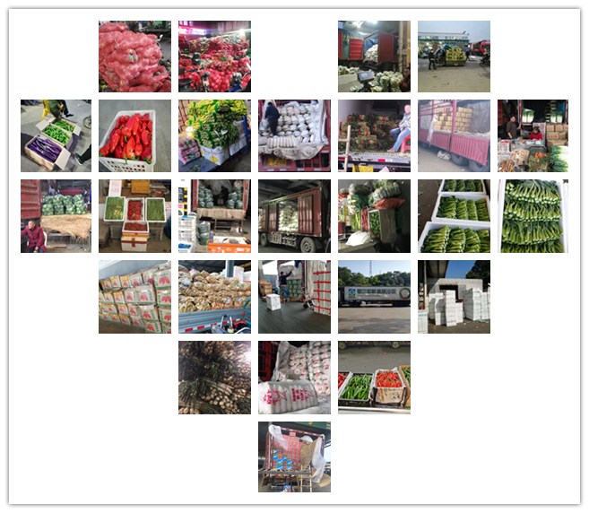 Z6���������ǲ�(�й���)���޹�˾����