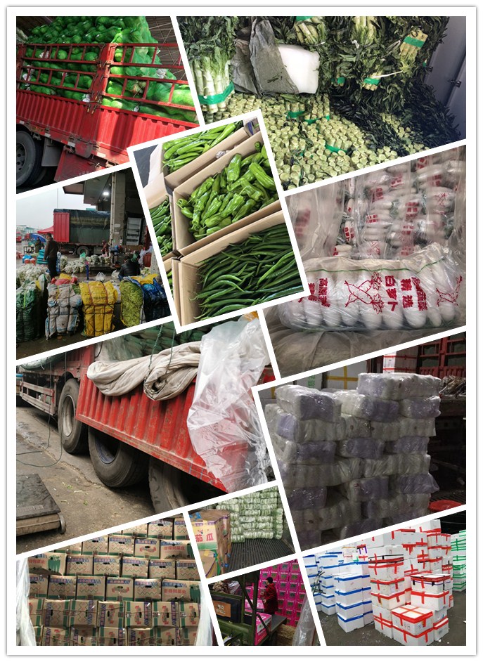 Z6���������ǲ�(�й���)���޹�˾����