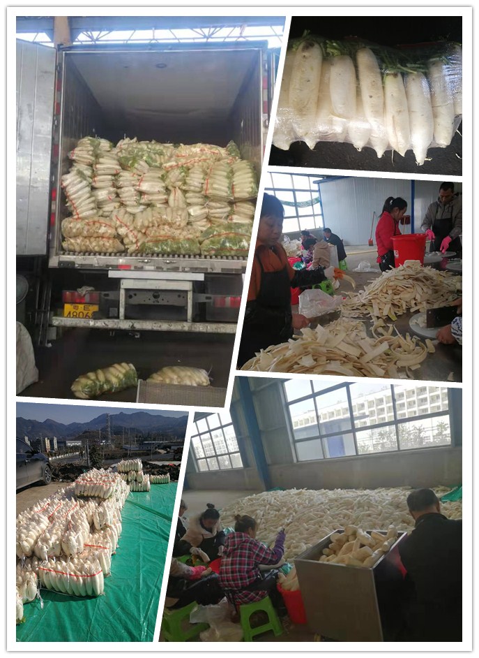 Z6���������ǲ�(�й���)���޹�˾����