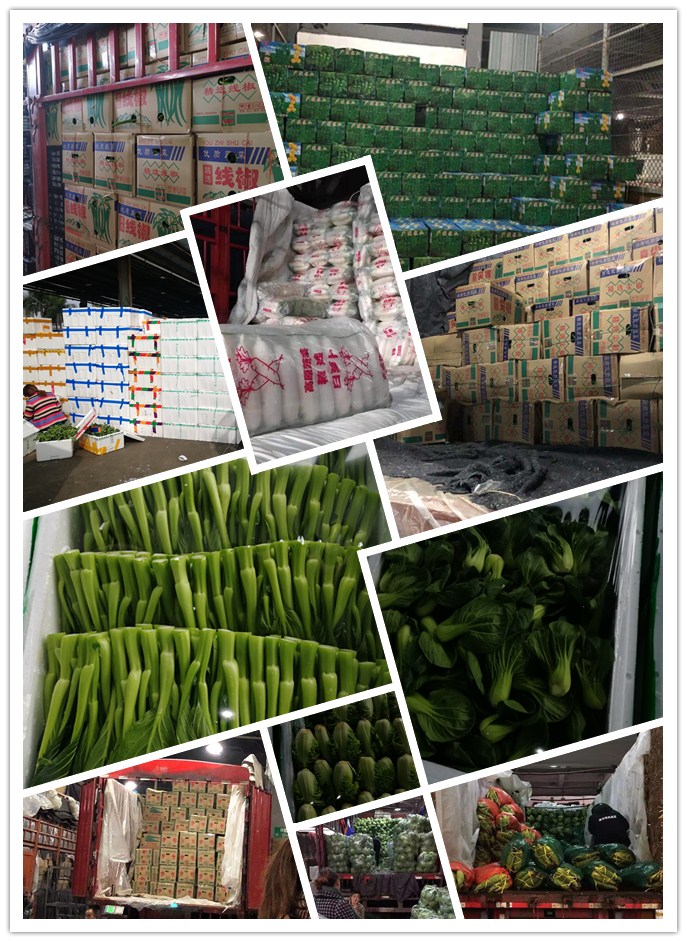 Z6���������ǲ�(�й���)���޹�˾����