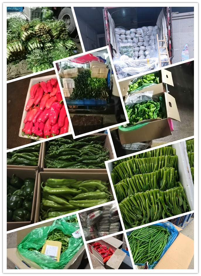 Z6���������ǲ�(�й���)���޹�˾����