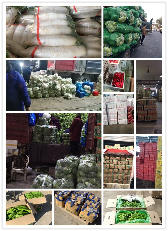 Z6���������ǲ�(�й���)���޹�˾����