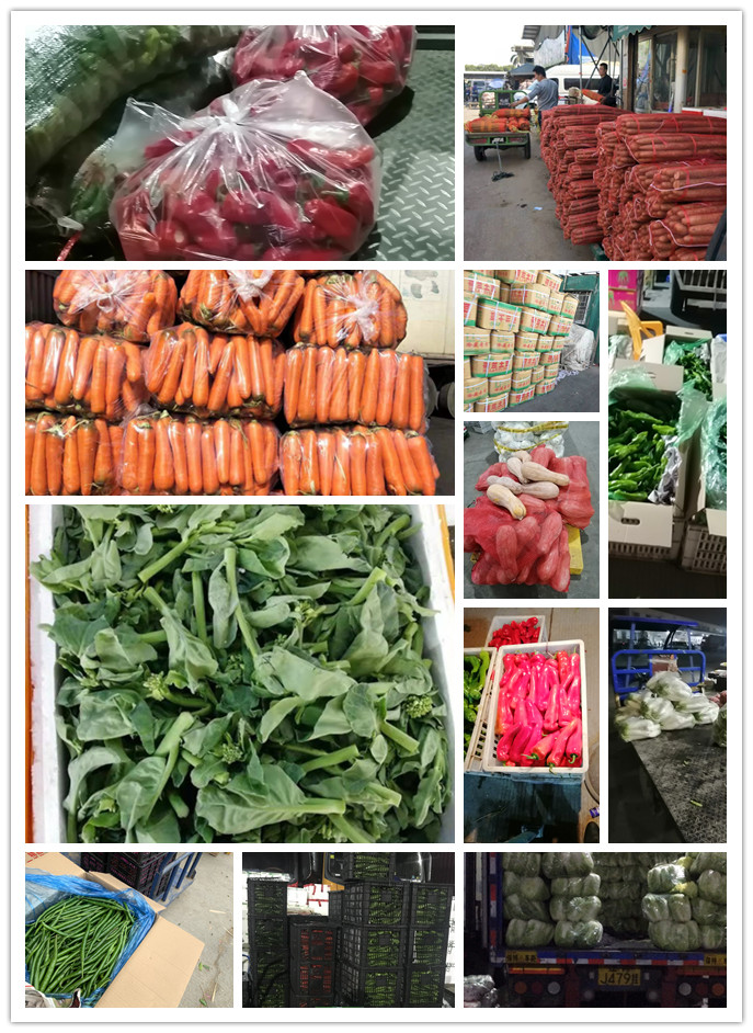 Z6���������ǲ�(�й���)���޹�˾����