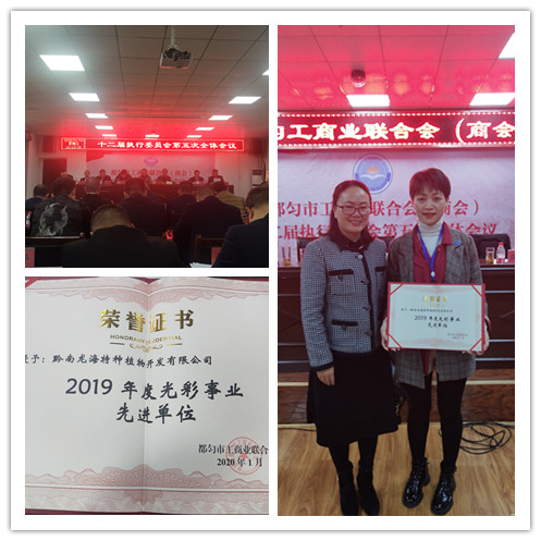 Z6���������ǲ�(�й���)���޹�˾����