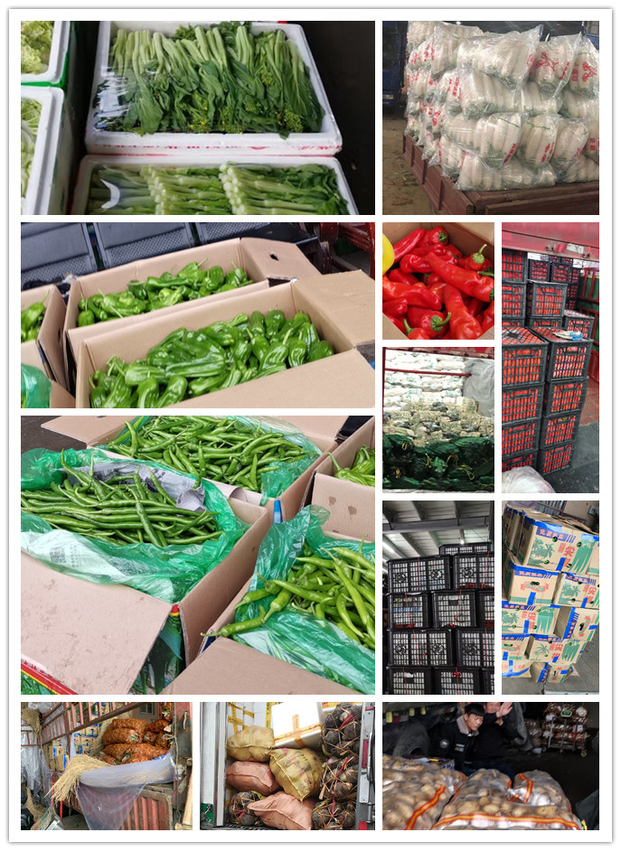 Z6���������ǲ�(�й���)���޹�˾����