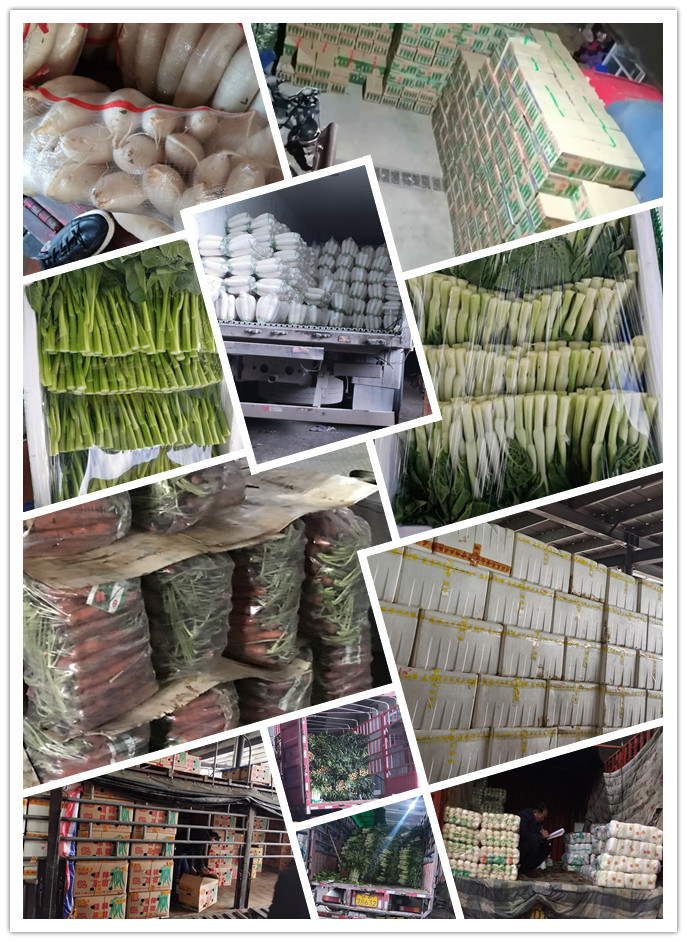 Z6���������ǲ�(�й���)���޹�˾����