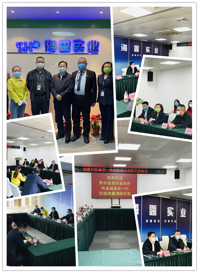 Z6���������ǲ�(�й���)���޹�˾����