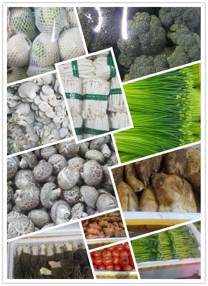 Z6���������ǲ�(�й���)���޹�˾����