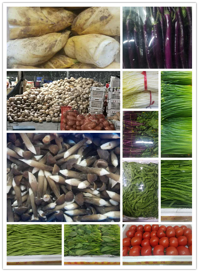 Z6���������ǲ�(�й���)���޹�˾����