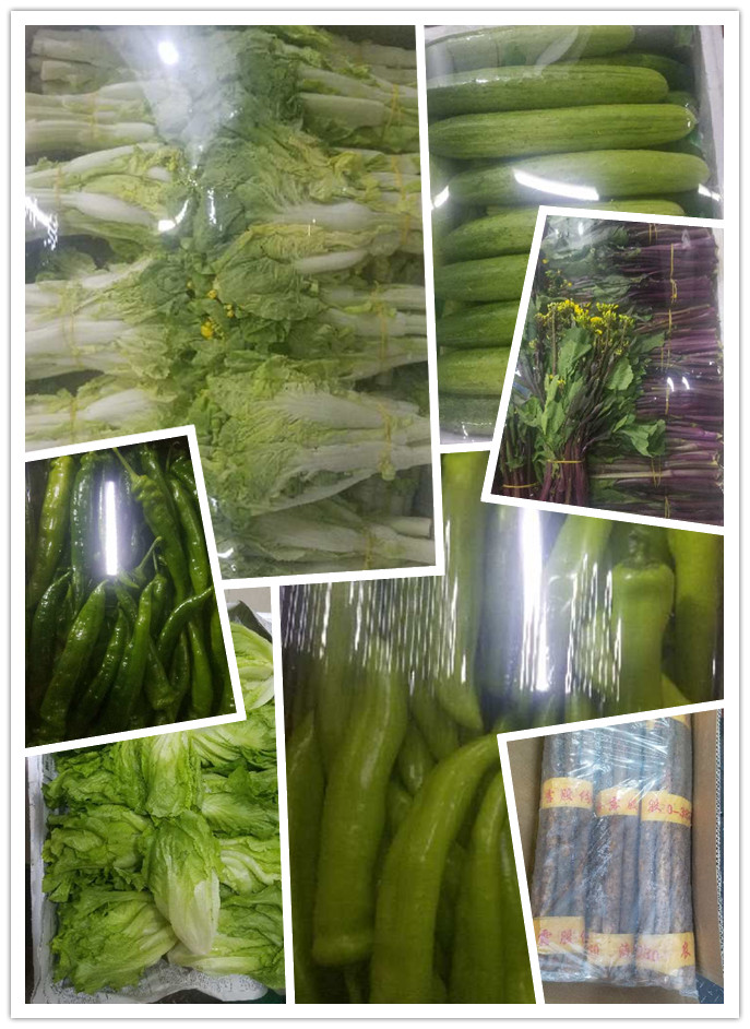 Z6���������ǲ�(�й���)���޹�˾����