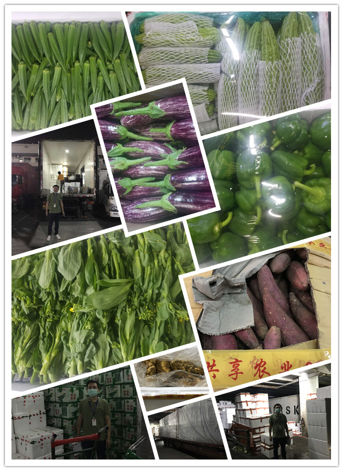 Z6���������ǲ�(�й���)���޹�˾����