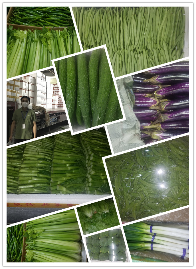 Z6���������ǲ�(�й���)���޹�˾����