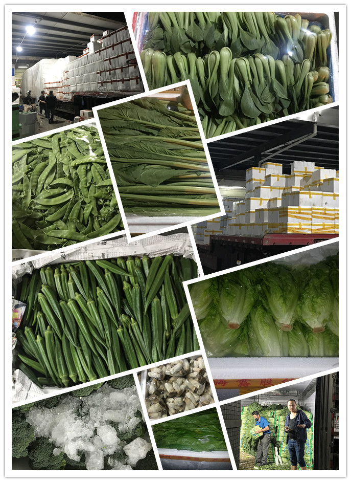 Z6���������ǲ�(�й���)���޹�˾����