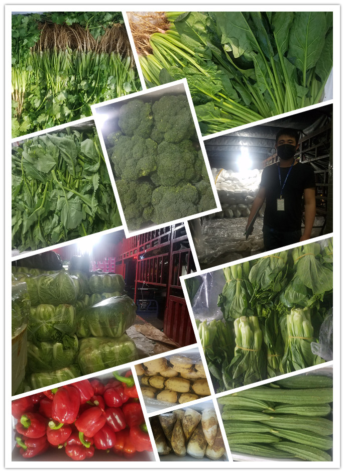 Z6���������ǲ�(�й���)���޹�˾����