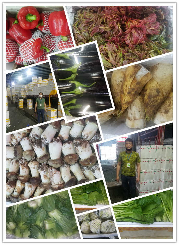 Z6���������ǲ�(�й���)���޹�˾����