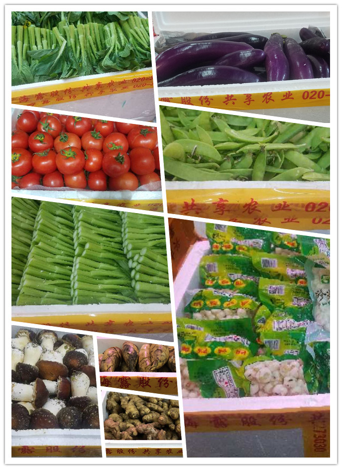 Z6���������ǲ�(�й���)���޹�˾����