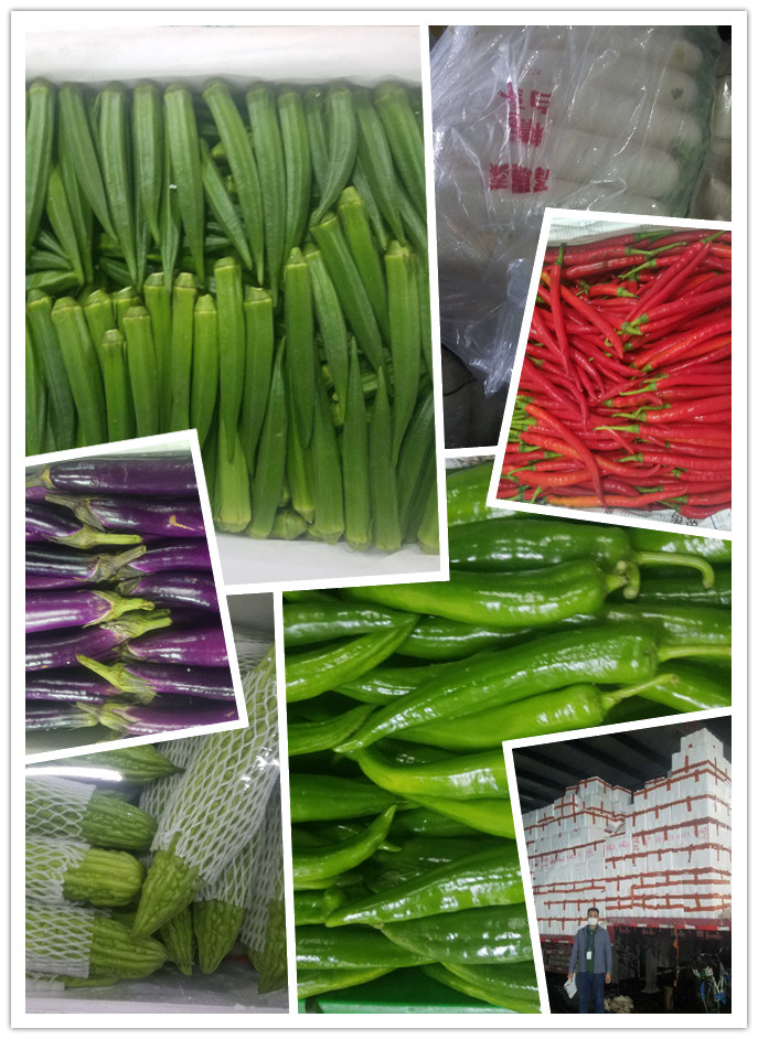 Z6���������ǲ�(�й���)���޹�˾����