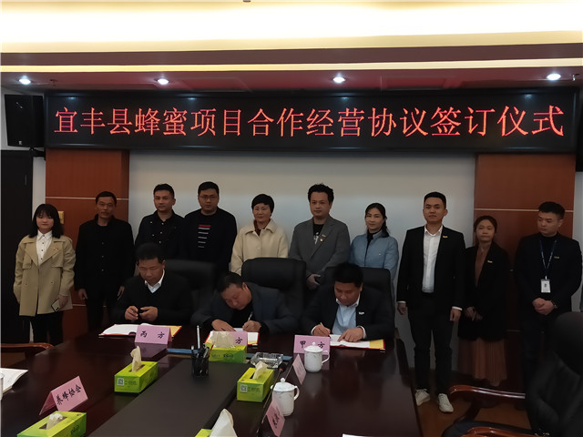 Z6���������ǲ�(�й���)���޹�˾����