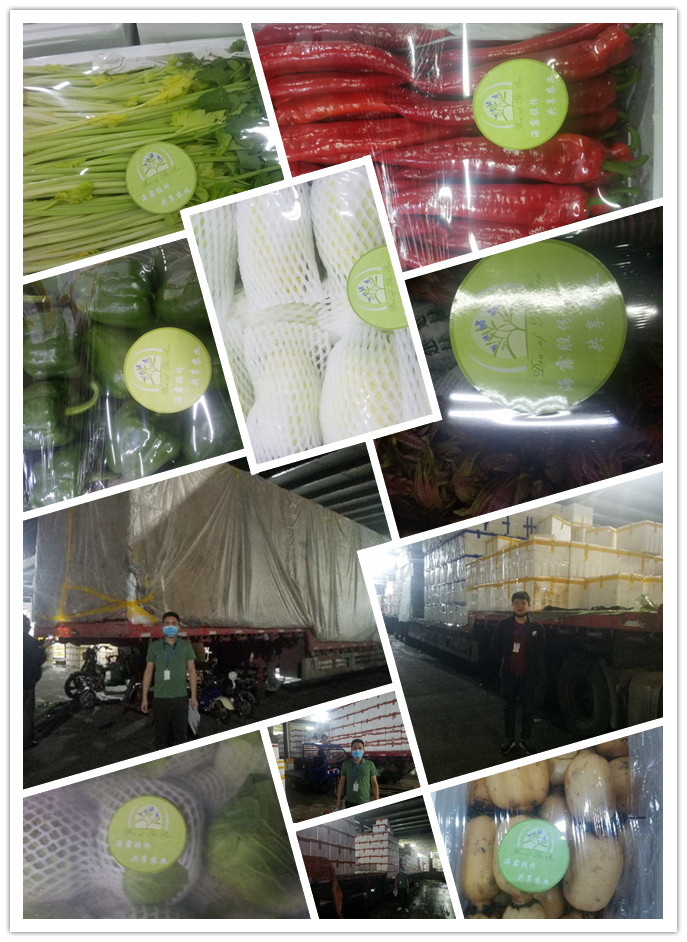 Z6���������ǲ�(�й���)���޹�˾����