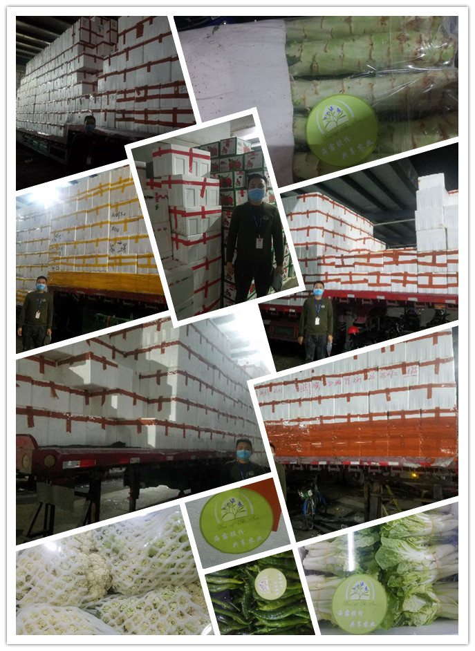 Z6���������ǲ�(�й���)���޹�˾����