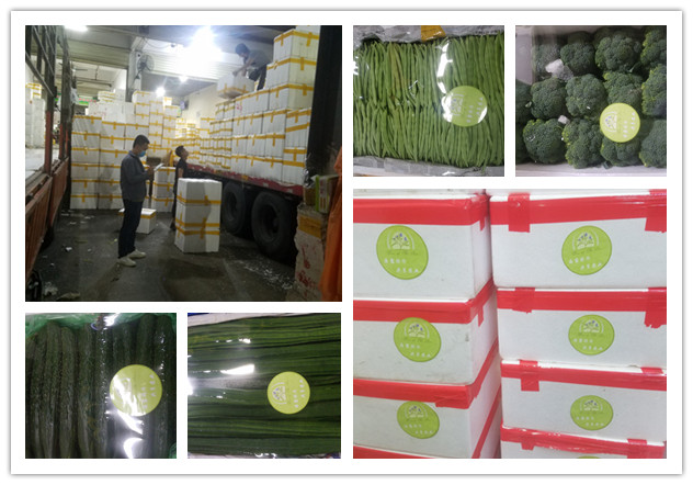 Z6���������ǲ�(�й���)���޹�˾����