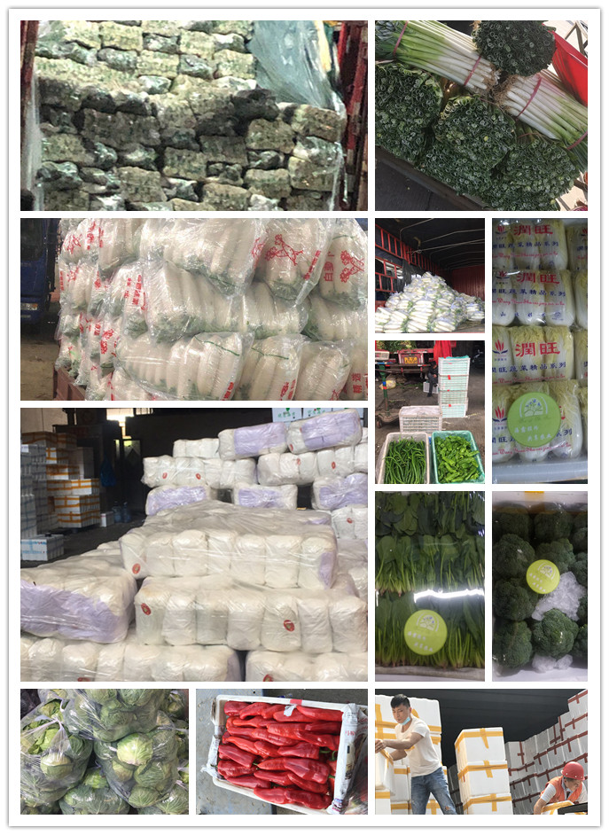 Z6���������ǲ�(�й���)���޹�˾����