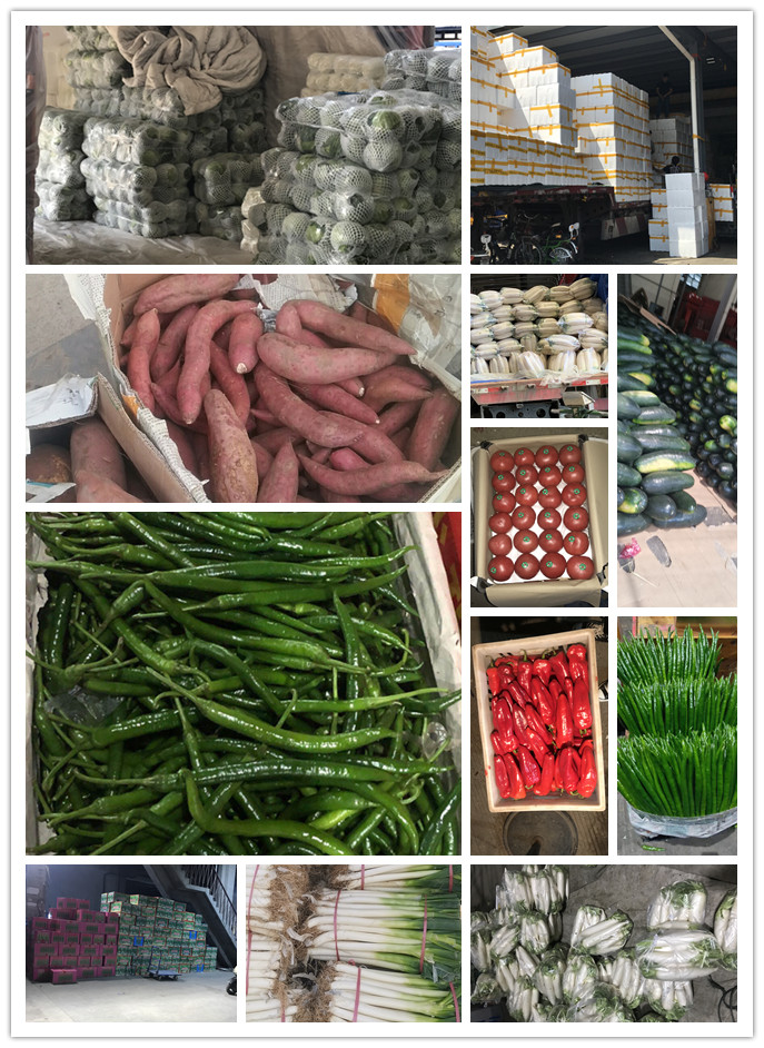 Z6���������ǲ�(�й���)���޹�˾����