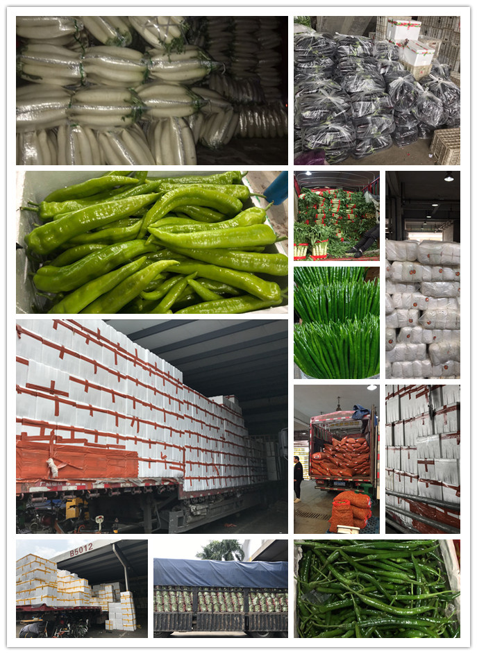 Z6���������ǲ�(�й���)���޹�˾����