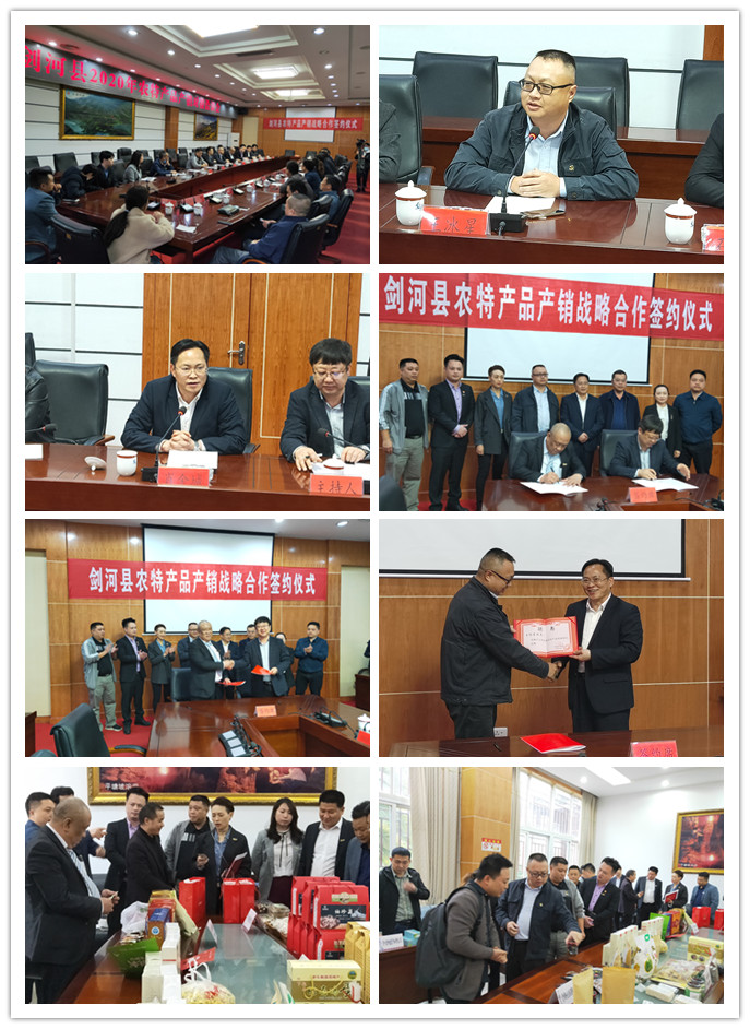 Z6���������ǲ�(�й���)���޹�˾����