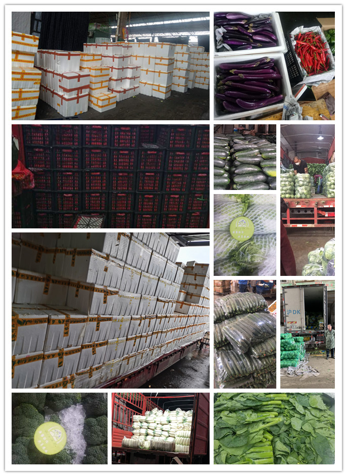 Z6���������ǲ�(�й���)���޹�˾����