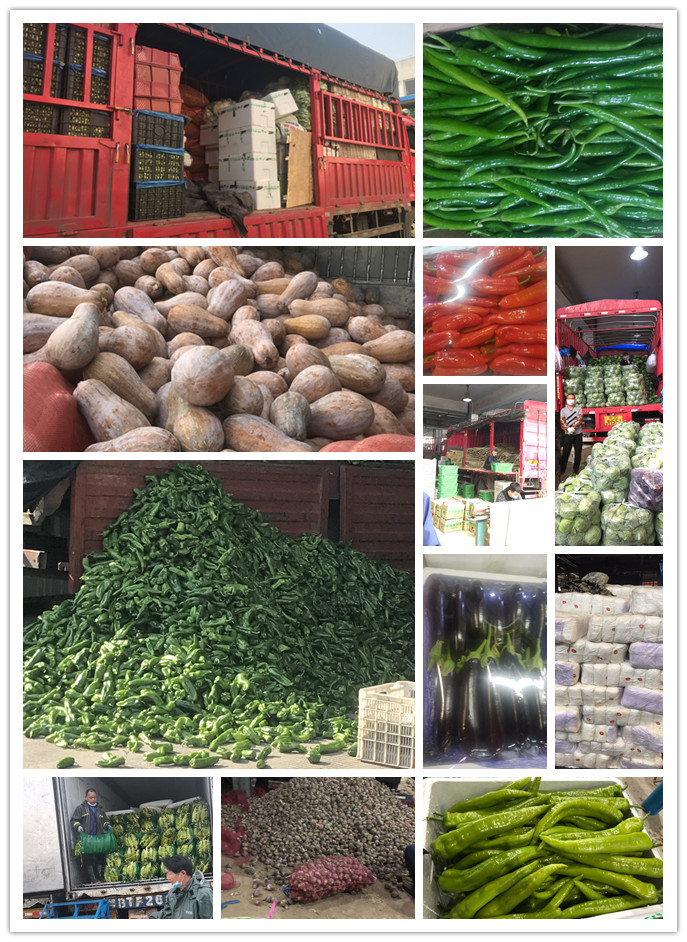 Z6���������ǲ�(�й���)���޹�˾����