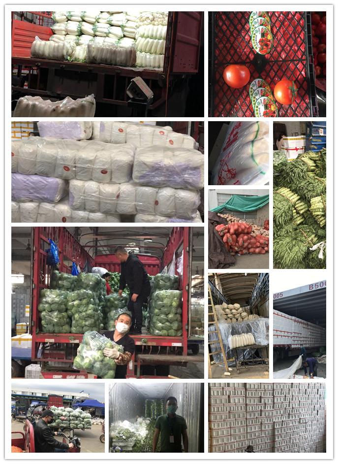 Z6���������ǲ�(�й���)���޹�˾����