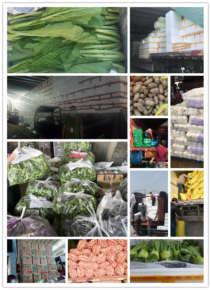 Z6���������ǲ�(�й���)���޹�˾����