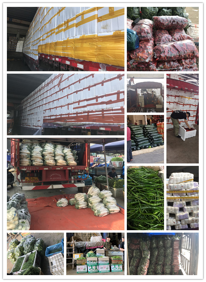 Z6���������ǲ�(�й���)���޹�˾����