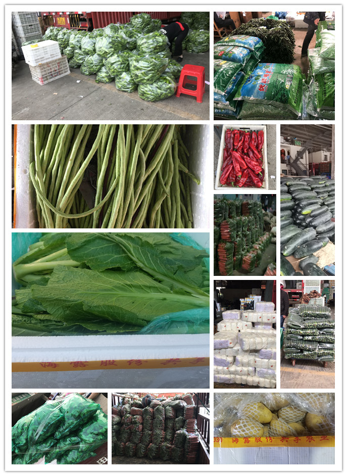 Z6���������ǲ�(�й���)���޹�˾����