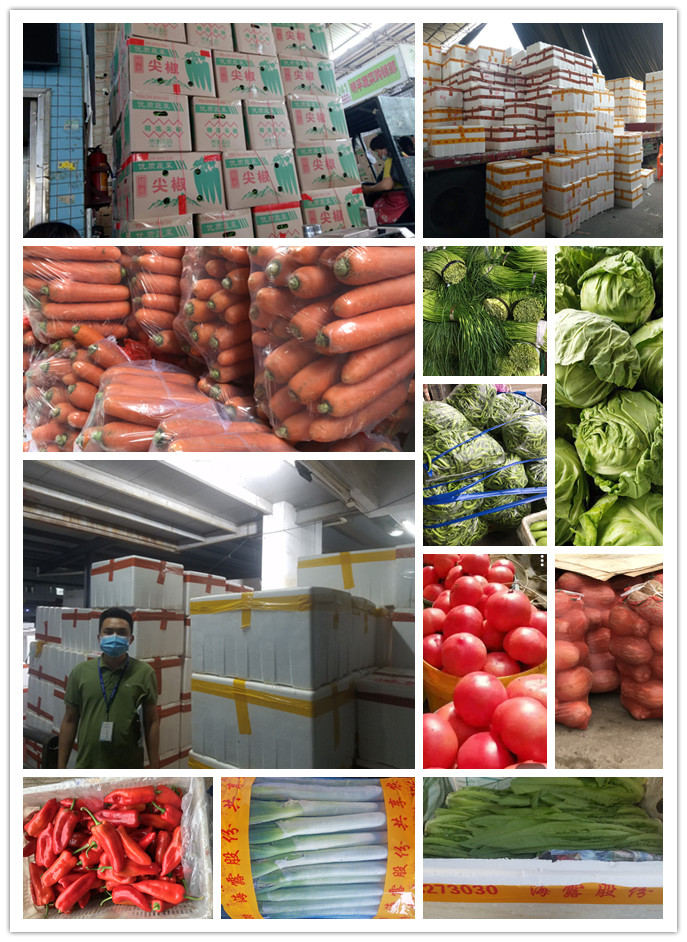 Z6���������ǲ�(�й���)���޹�˾����