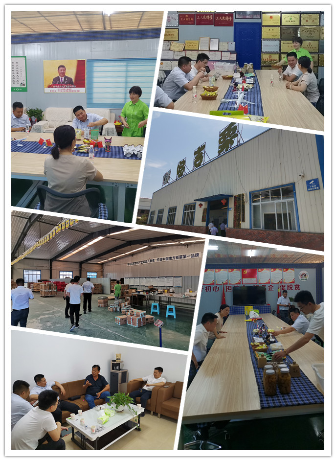 Z6���������ǲ�(�й���)���޹�˾����