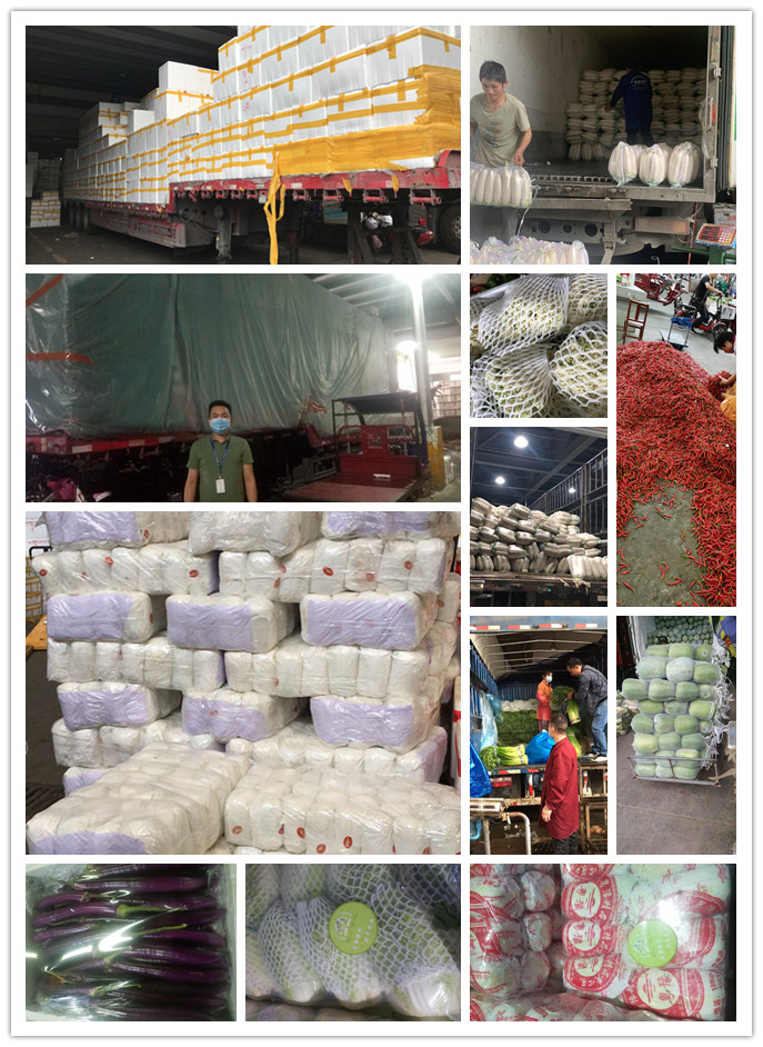 Z6���������ǲ�(�й���)���޹�˾����