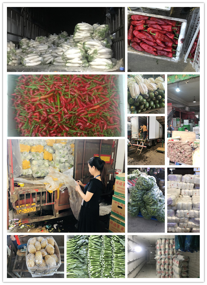 Z6���������ǲ�(�й���)���޹�˾����