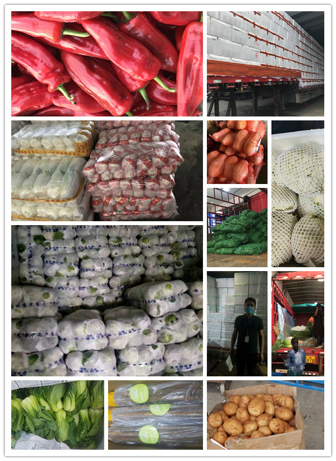 Z6���������ǲ�(�й���)���޹�˾����