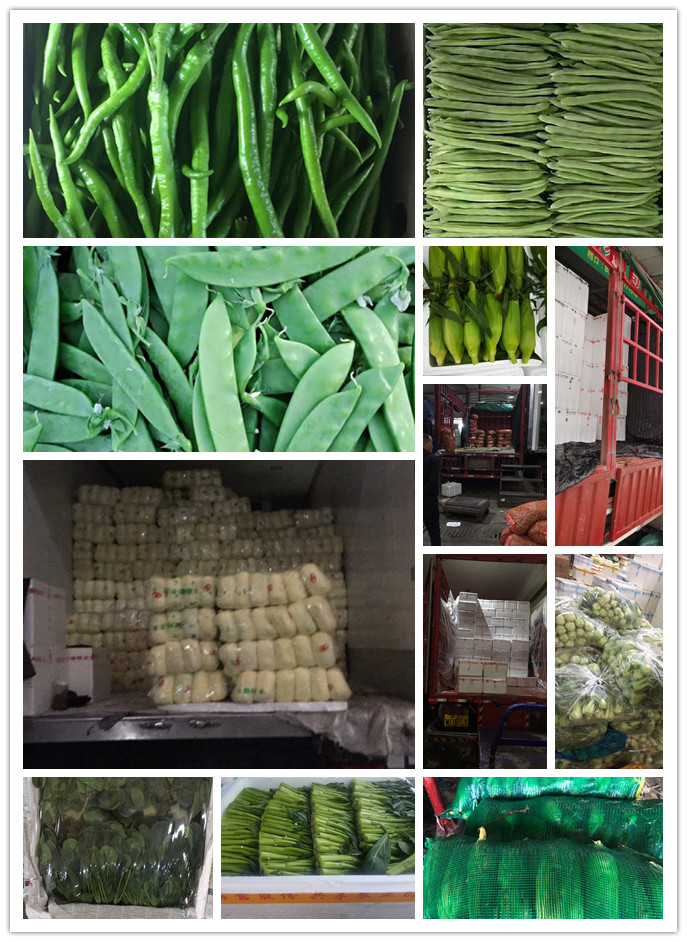 Z6���������ǲ�(�й���)���޹�˾����