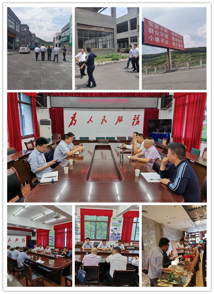 Z6���������ǲ�(�й���)���޹�˾����