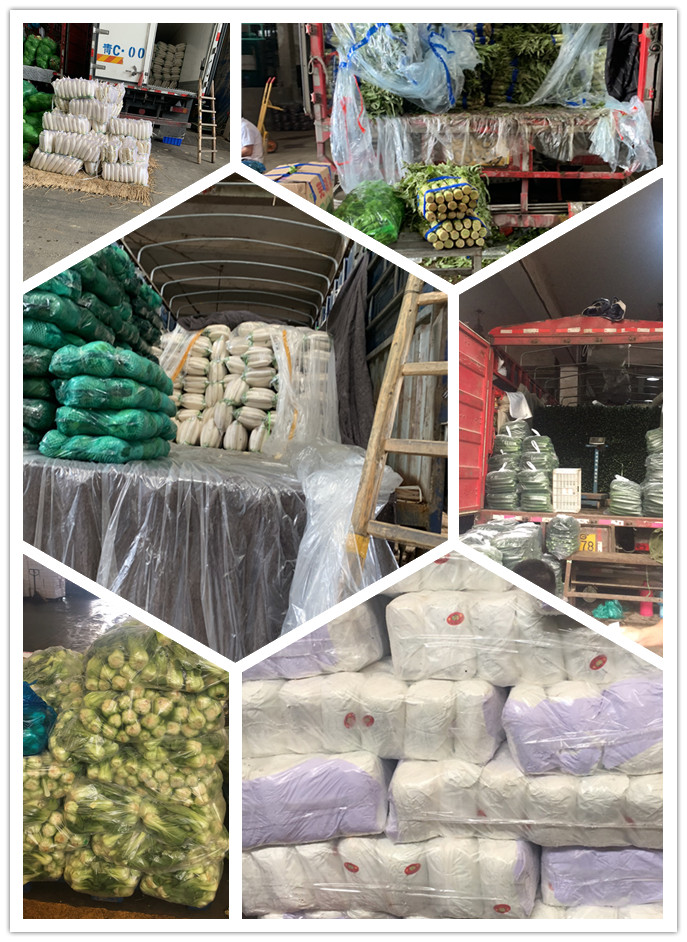 Z6���������ǲ�(�й���)���޹�˾����